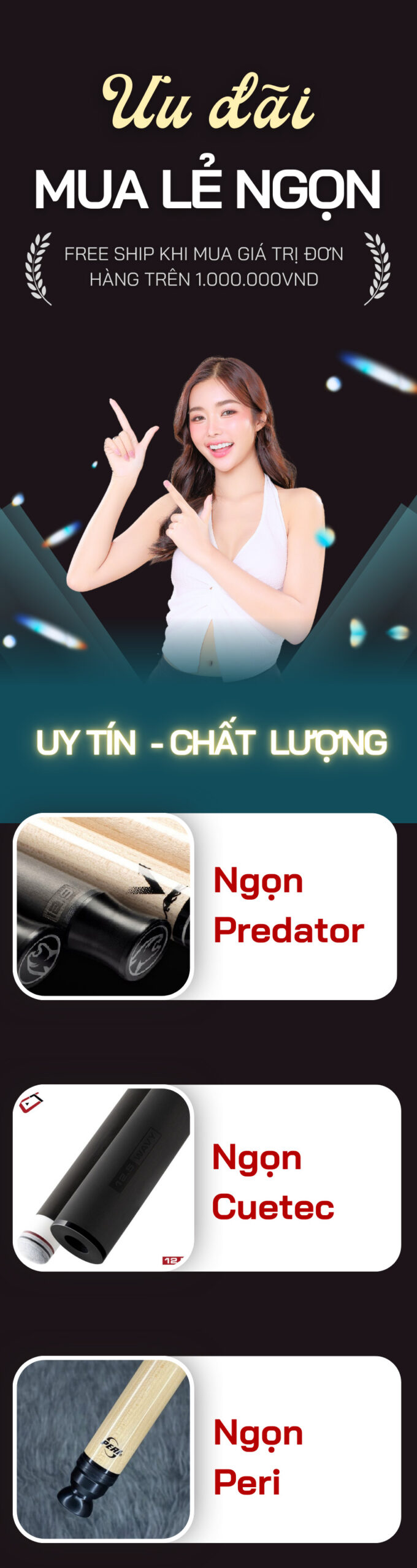 Banner ngọn cơ bida King Billiard